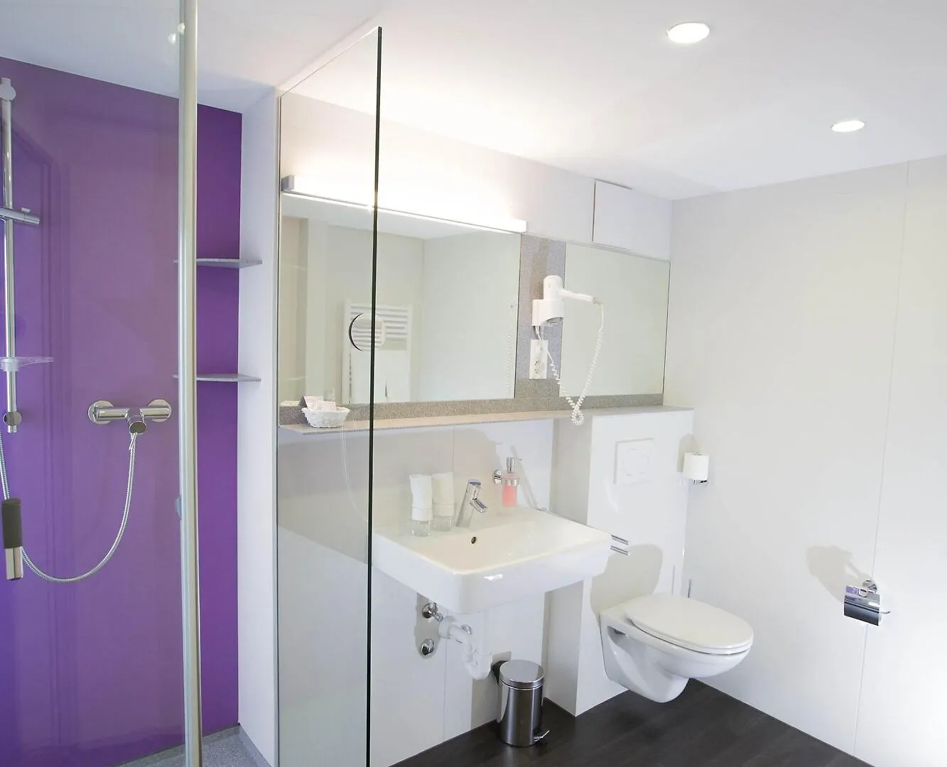 בזל Hotel Resslirytti