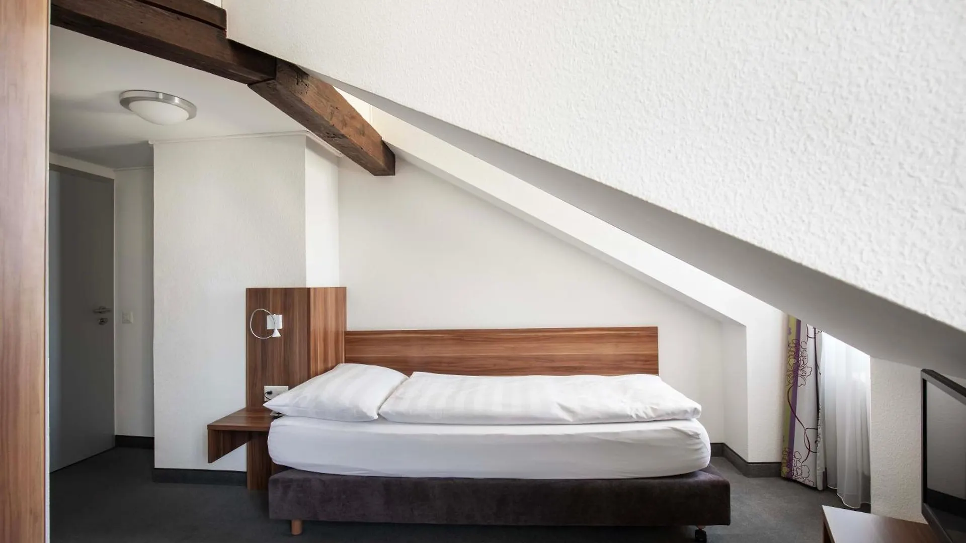 בזל Hotel Resslirytti